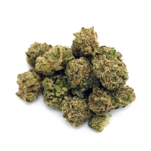 Georgia-Runtz for sale