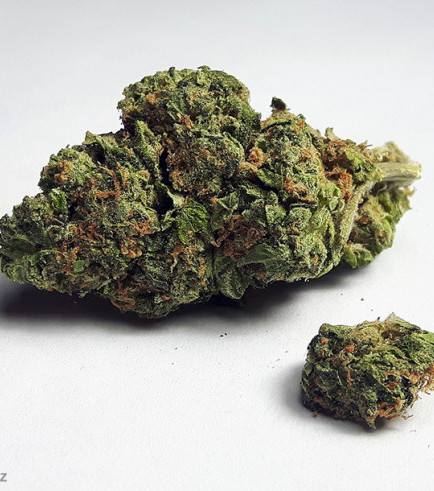 Top Zkittlez for sale