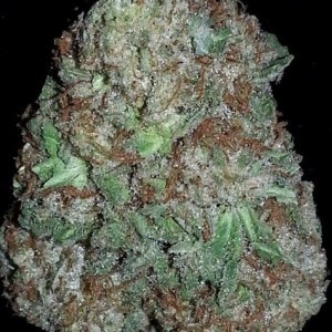 AK-47 (1 ounce)