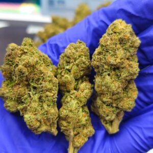 Caramel Pretzel Strain oz