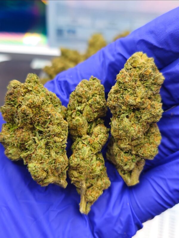 Caramel Pretzel Strain oz