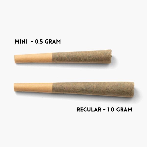 THCa Pre-Rolls You Pick 2 | Whole Flower 5-Pack | 22–30% THCa - Image 6