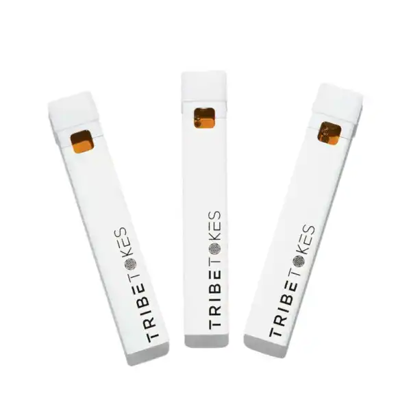 3 Delta 8 THC Disposable Vape Pens | 1g